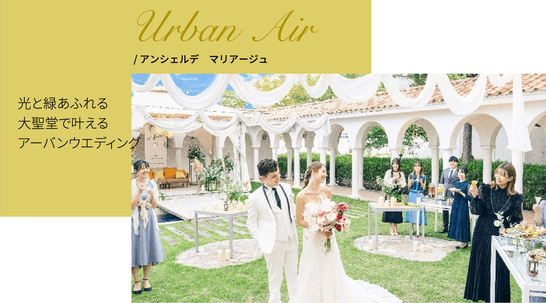 アンシェルデ　マリアージュ